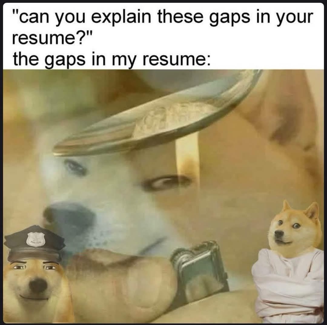 24 Memes That Yelled “Plot Twist” and Ran Off into the Sunset 7 Gaps in resume