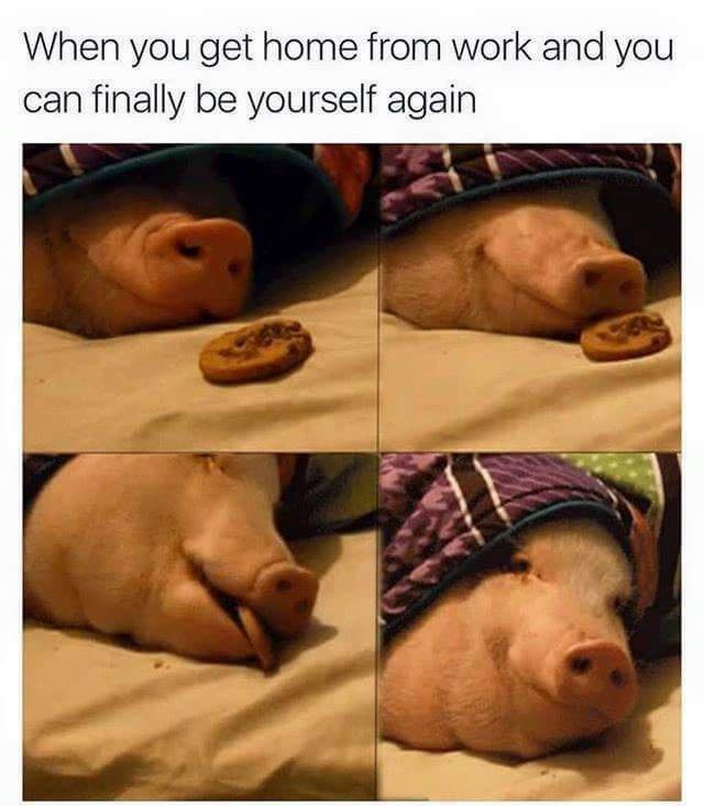 20 Memes That Collapse in Meaning the Harder You Try to Explain Them 7 Get home from work