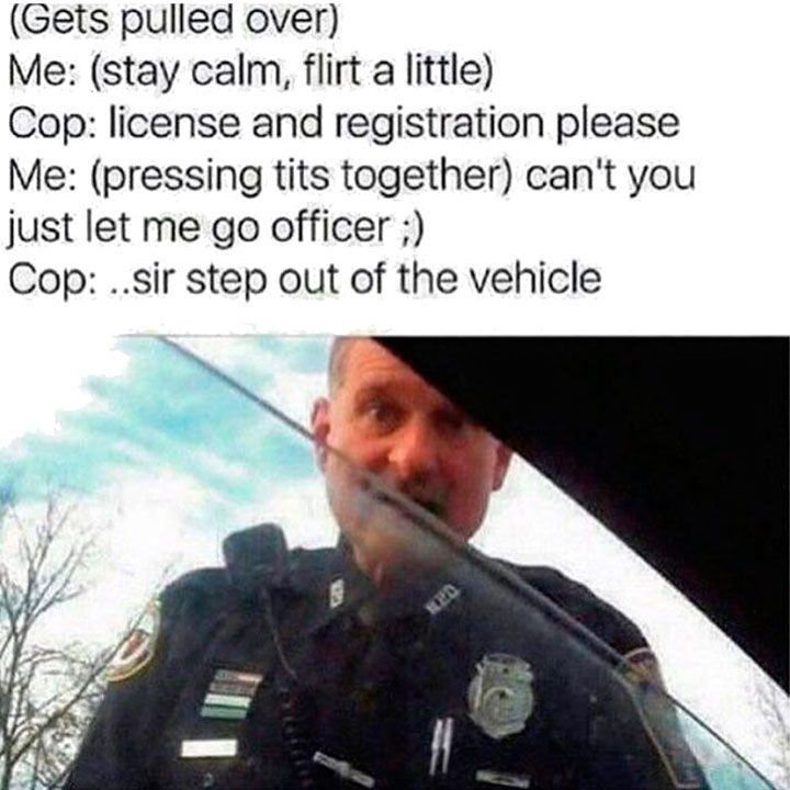 20 Memes That Are More Unhinged Than a Toddler on Sugar 5 Gets pulled over