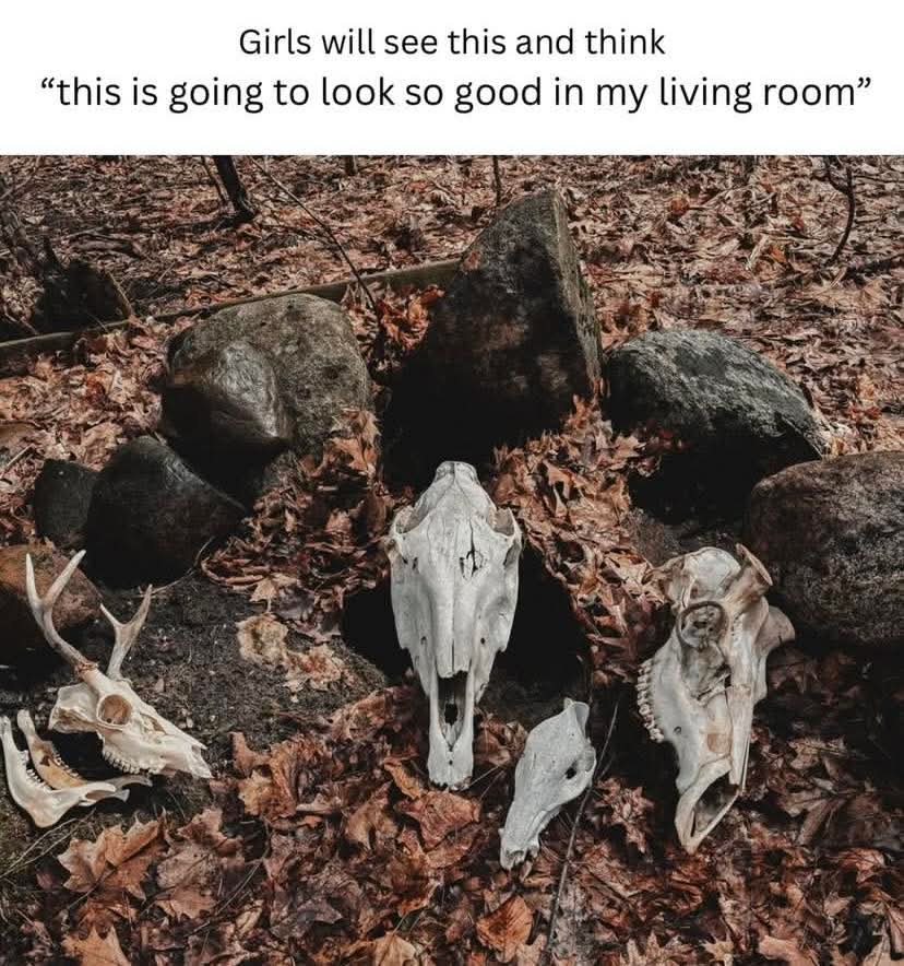 20 Memes That Will Make You Laugh So Hard, Your Neighbor Will Knock on Your Door 9 Girls will look at this