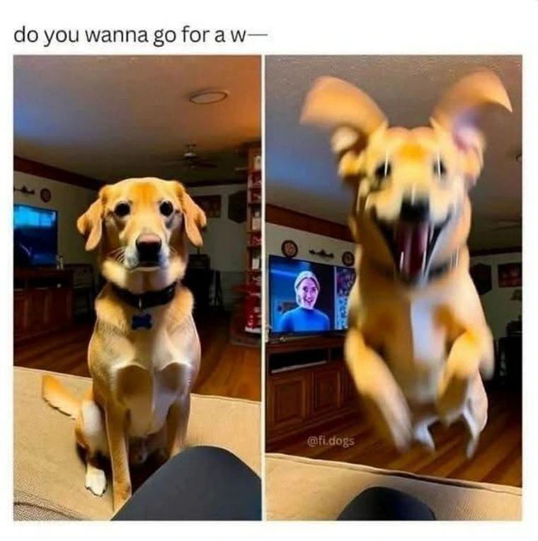 24 Memes That Yelled “Plot Twist” and Ran Off into the Sunset 10 Go for walk