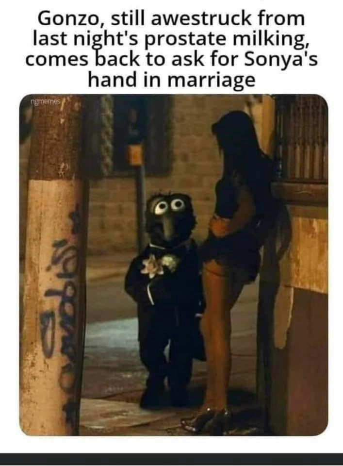 20 Memes That Make Less Sense the Longer You Laugh 6 Gonzo