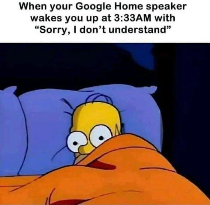 20 Memes That Are Like a Free Trial for Happiness 5 Google homespeaker