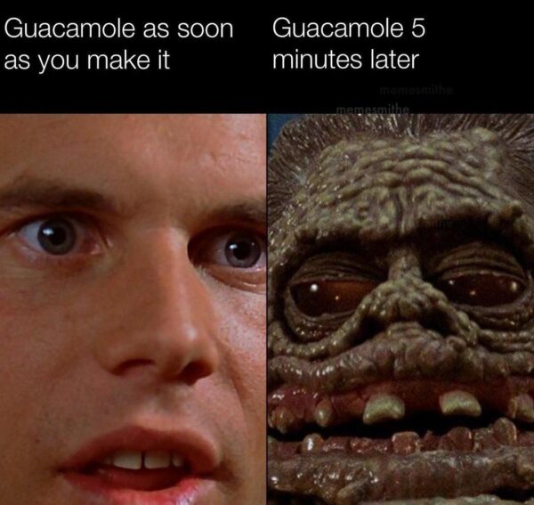 20 Memes That Make Less Sense the Longer You Laugh 7 Guacamole after 5 inutes