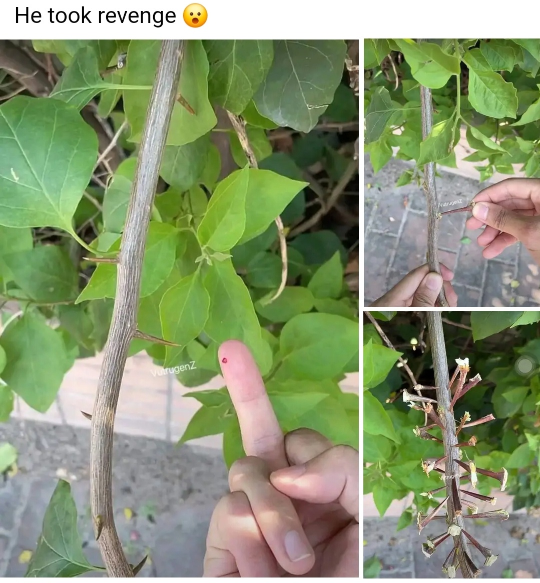 20 Memes That’ll Make Your Screen Time Worth It 9 He took revenge