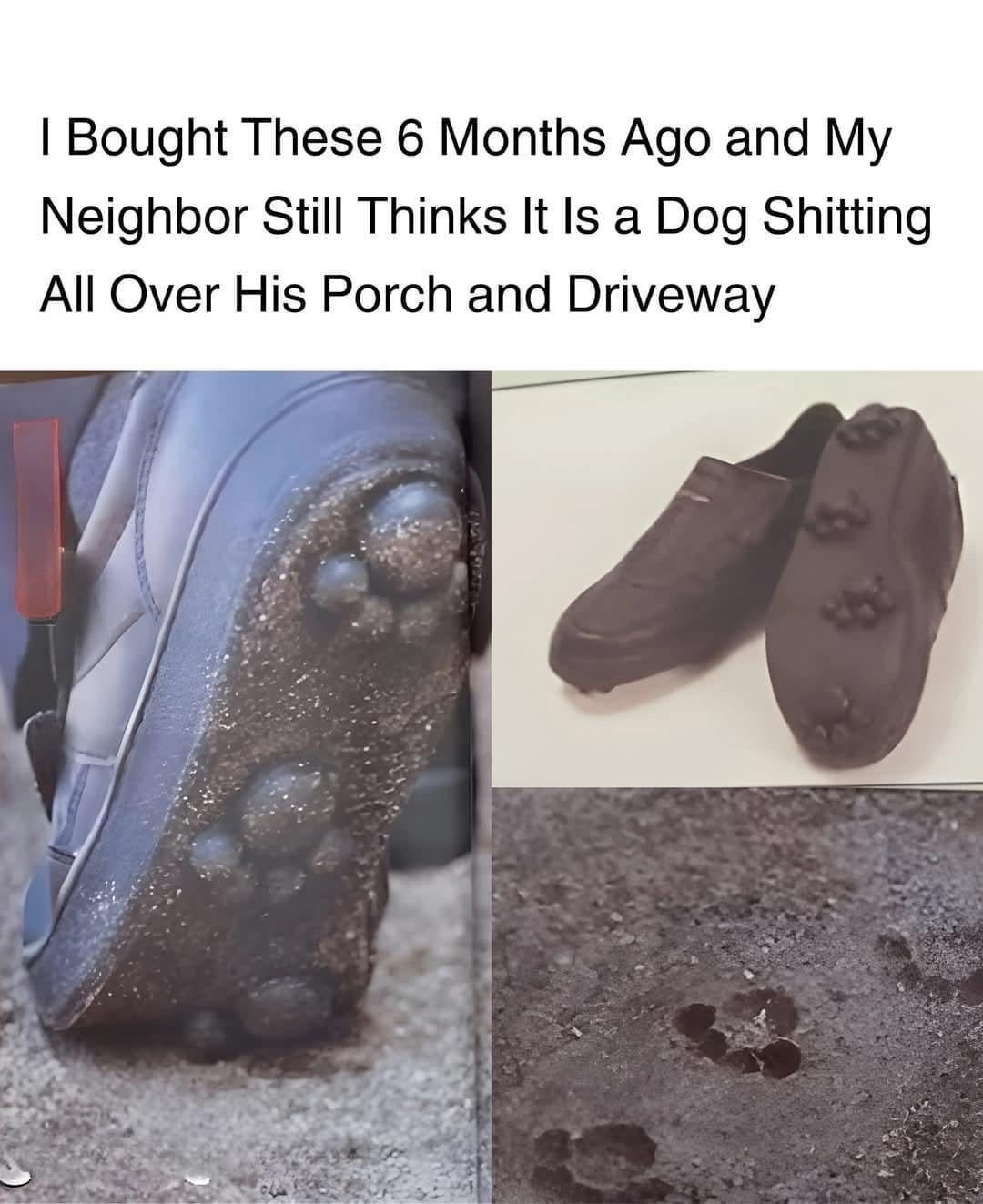 20 Memes That Are Like Therapy, But Free 7 I brought these