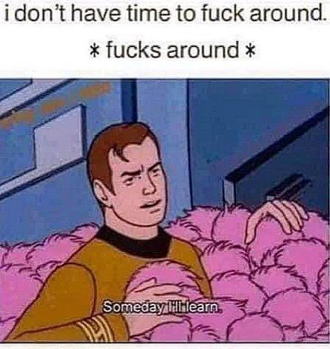 20 Memes That Are More Unhinged Than a Toddler on Sugar 6 I dont have time