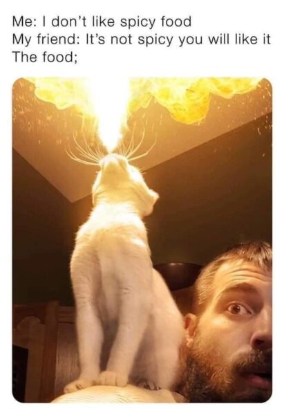 20 Memes That Make Less Sense the Longer You Laugh 9 I dont like spicy food