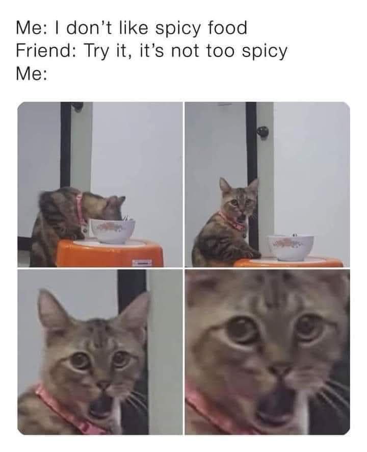 22 Memes That Audibly Said “Bruh” 8 I dont like spicy food