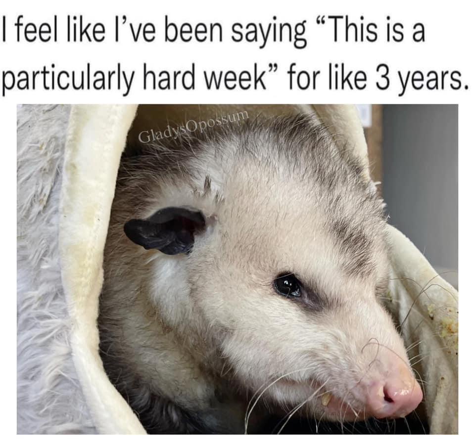 25 Stress Memes That Are Basically Just Internal Screaming 25 I feel like