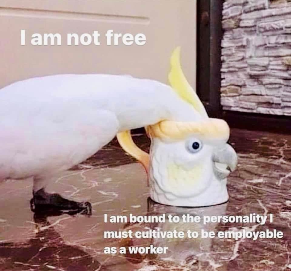 20 Stress Memes That Are Basically Just Internal Screaming 11 Im not free