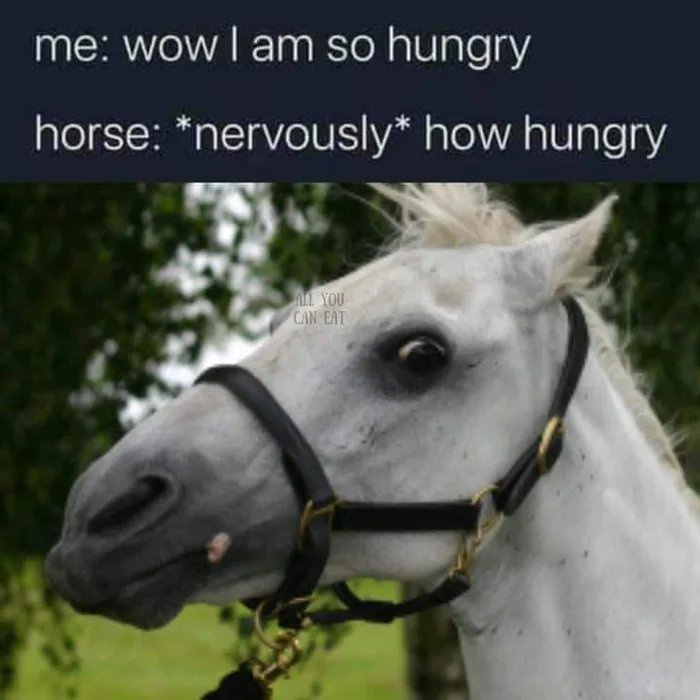 22 Memes That Audibly Said “Bruh” 10 Im so hungry