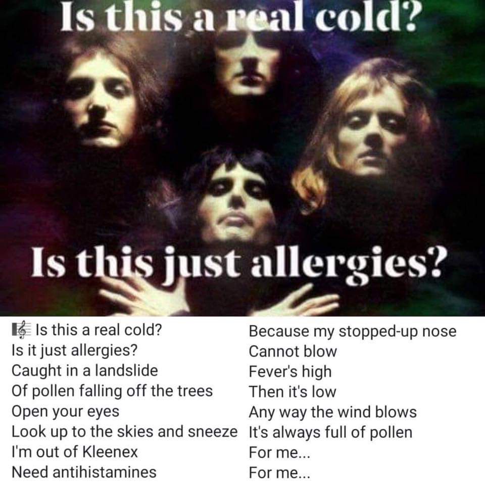 20 Memes That Slap Harder Than Your Mom’s Chappal 12 Is this real cold