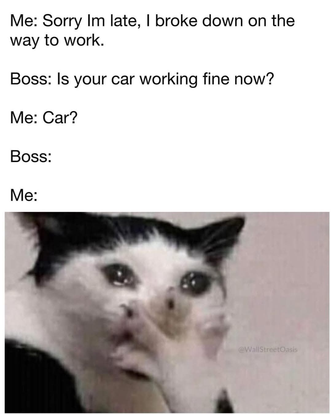24 Memes That Failed the Vibe Check but Passed the Funny Test 12 Is your car working fine