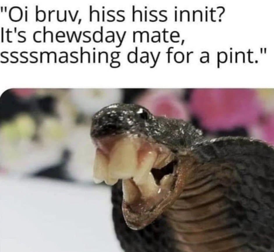 20 Funny British Memes That Should Be Served with Tea and Regret 9 Its chewsday - Funny British Memes