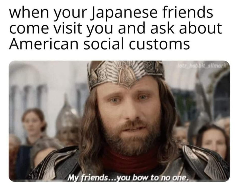 20 Memes That Collapse in Meaning the Harder You Try to Explain Them 9 Japanese friend visit you