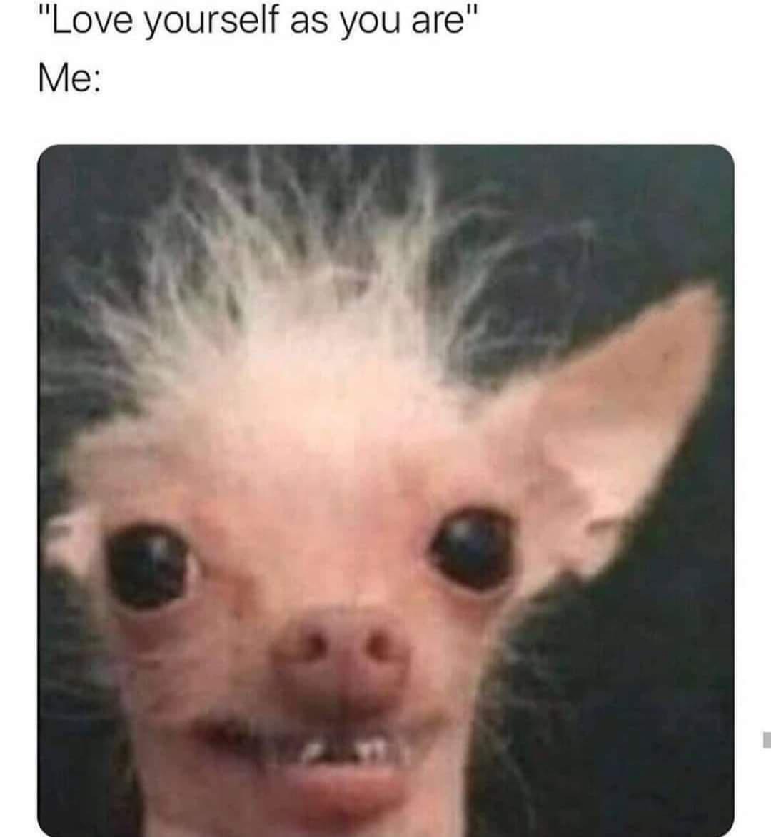 20 Random Memes That Moonwalked Out of Context 10 Love yourself