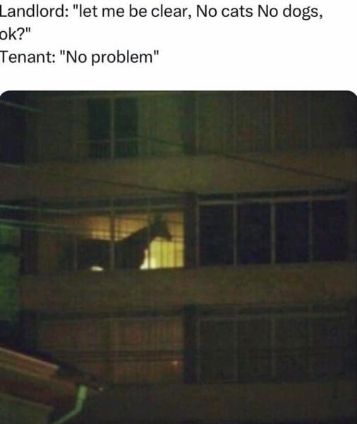 30 Memes That Broke the Laws of Gravity and Common Sense 15 Lte me be clear