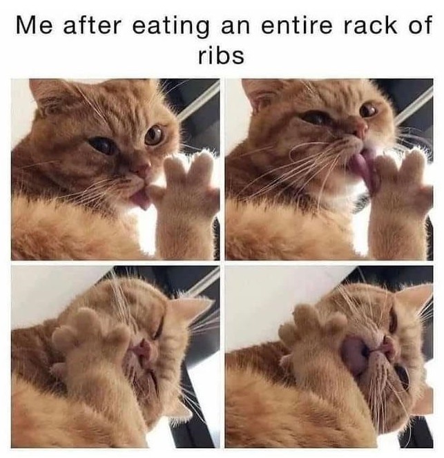 20 Memes That Got Their PhD in Ridiculousness 13 Me after eating