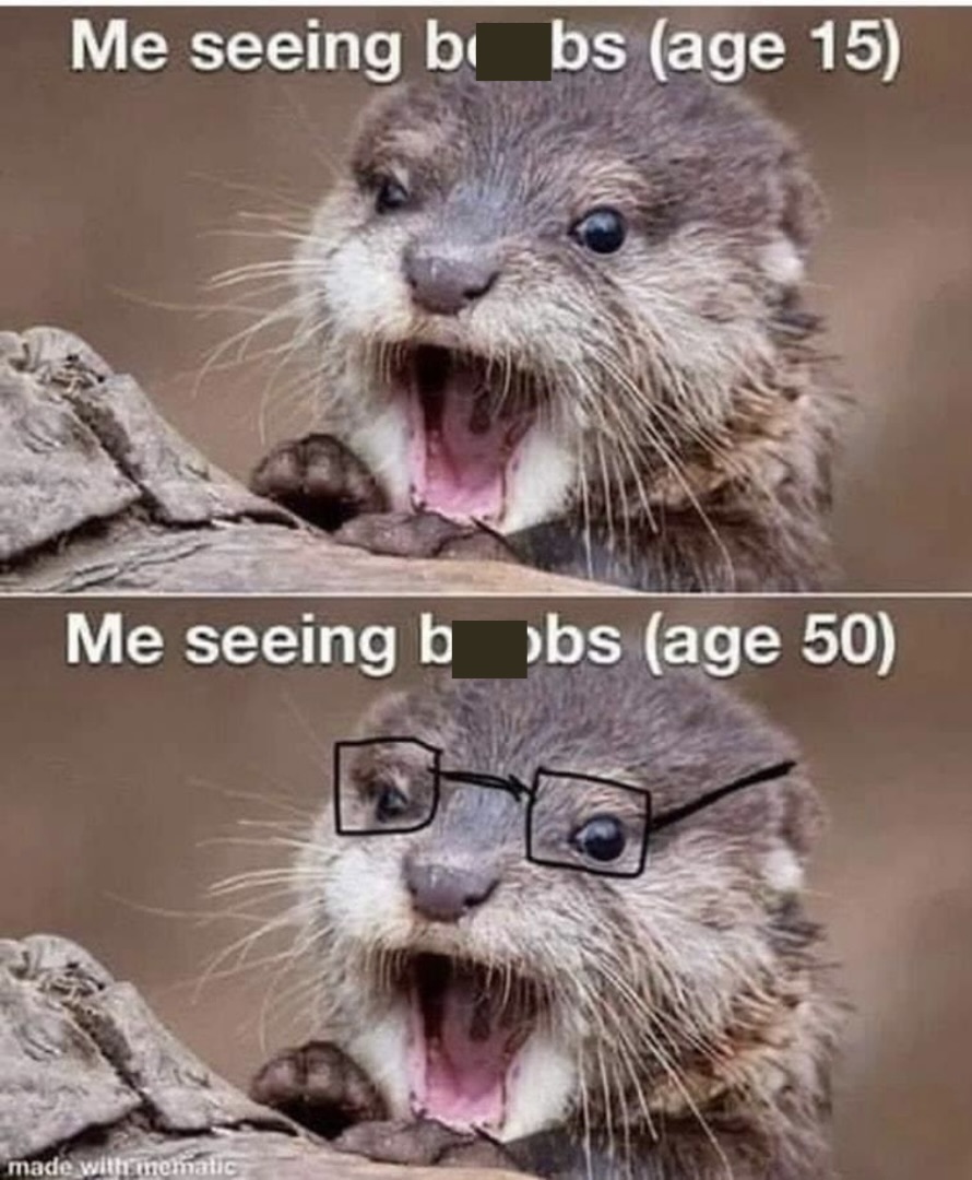 28 Memes That Yelled “Plot Twist” and Ran Off into the Sunset 26 Me seeeing