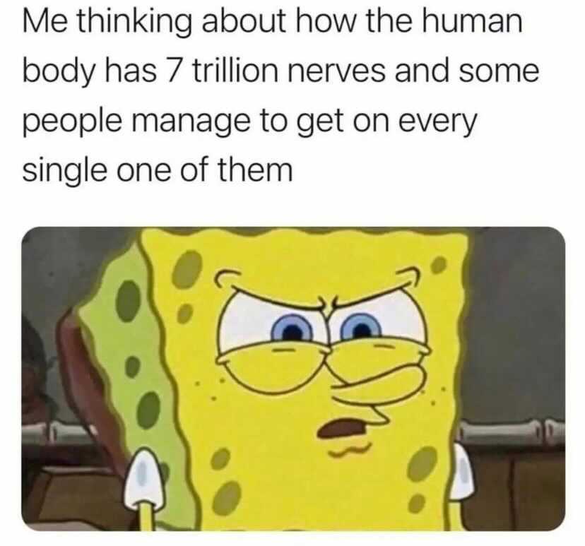 20 Stress Memes That Are Basically Just Internal Screaming 13 Me thinking about