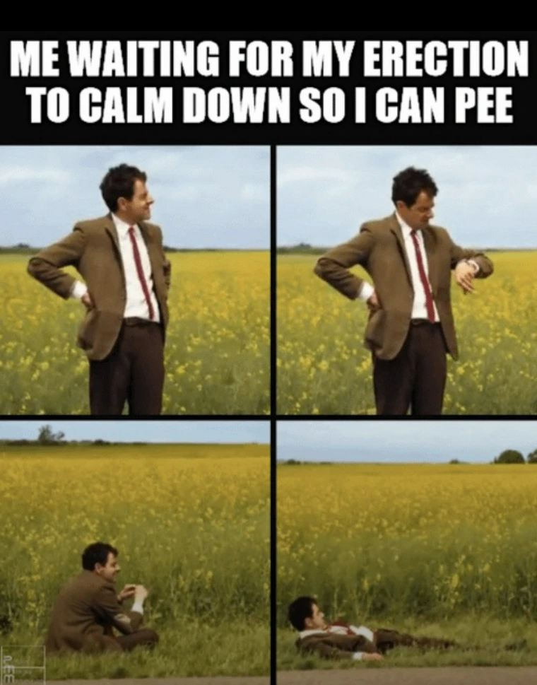 20 Memes That Deserve a Standing Ovation (Or at Least a Chuckle) 15 Me waiting