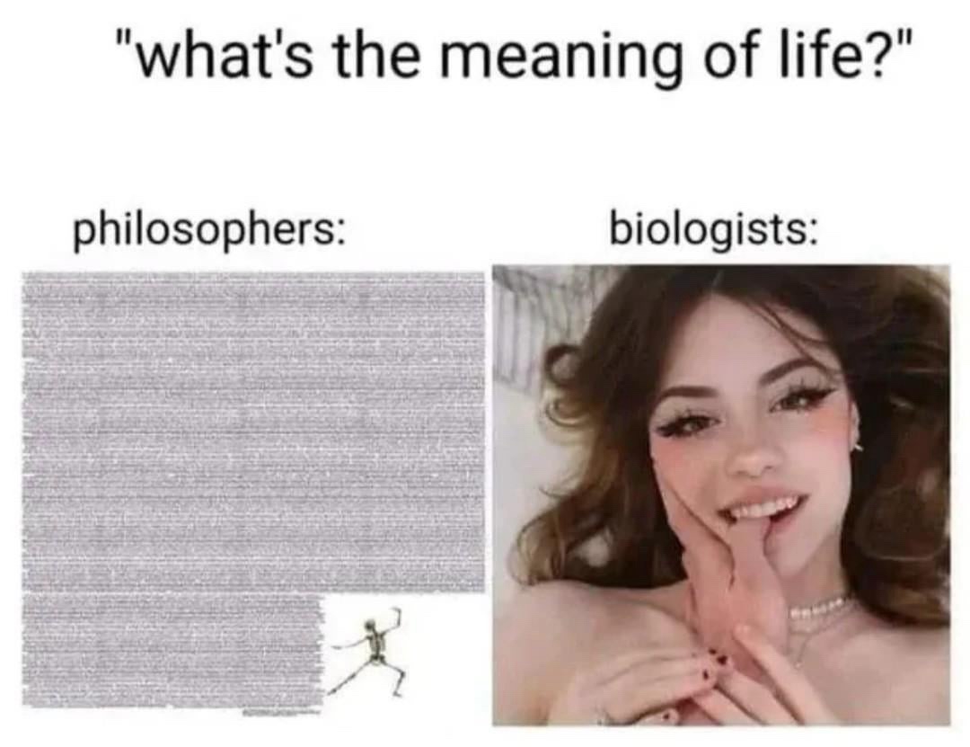 20 Memes Funnier Than That One Time You Tried Being Serious 13 Meaning of life