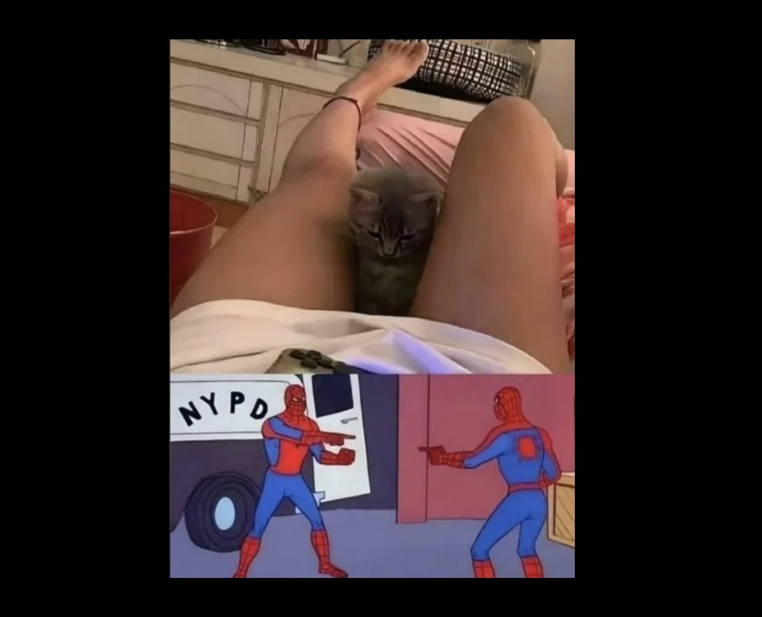 Memes That Audibly Said “Bruh” - FG.jpeg