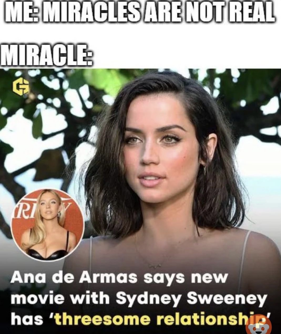 20 Memes That Collapse in Meaning the Harder You Try to Explain Them 14 Miracles are not real