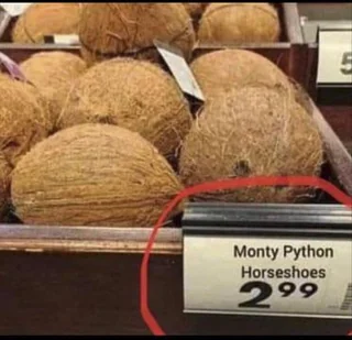 Monty python hoseshoes