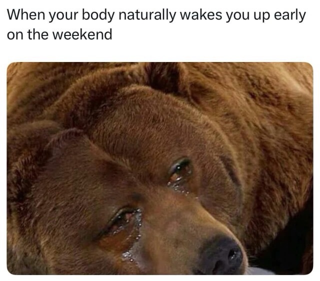 20 Memes That’ll Have You Laughing Like a Supervillain 12 Naturally wakes you up
