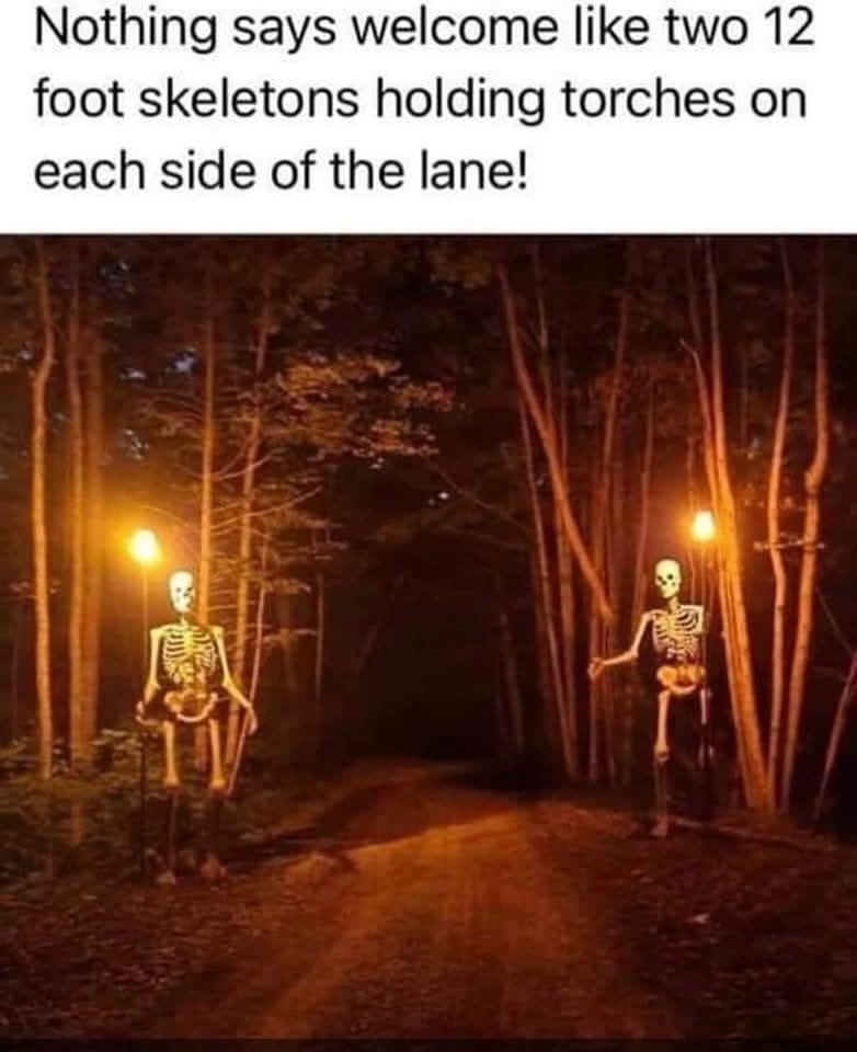 20 Random Memes That Woke Up and Chose Weirdness 11 Nothing says welcome