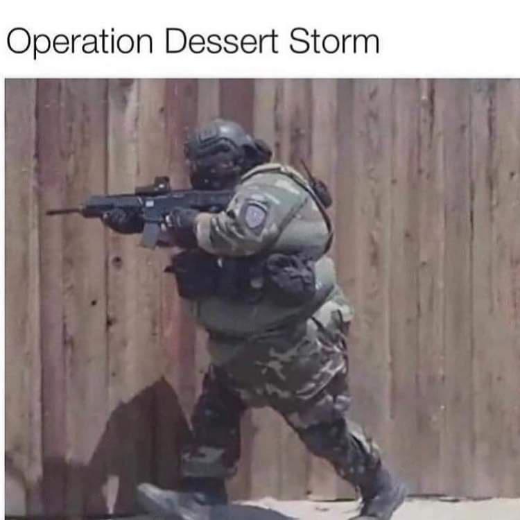 24 Memes That Should Be Illegal but Aren’t (Yet) 15 Operation dessert storm