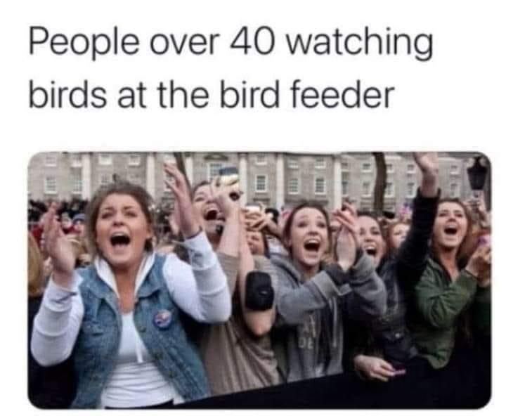 20 Memes That’ll Have You Laughing Like a Supervillain 14 People over 40