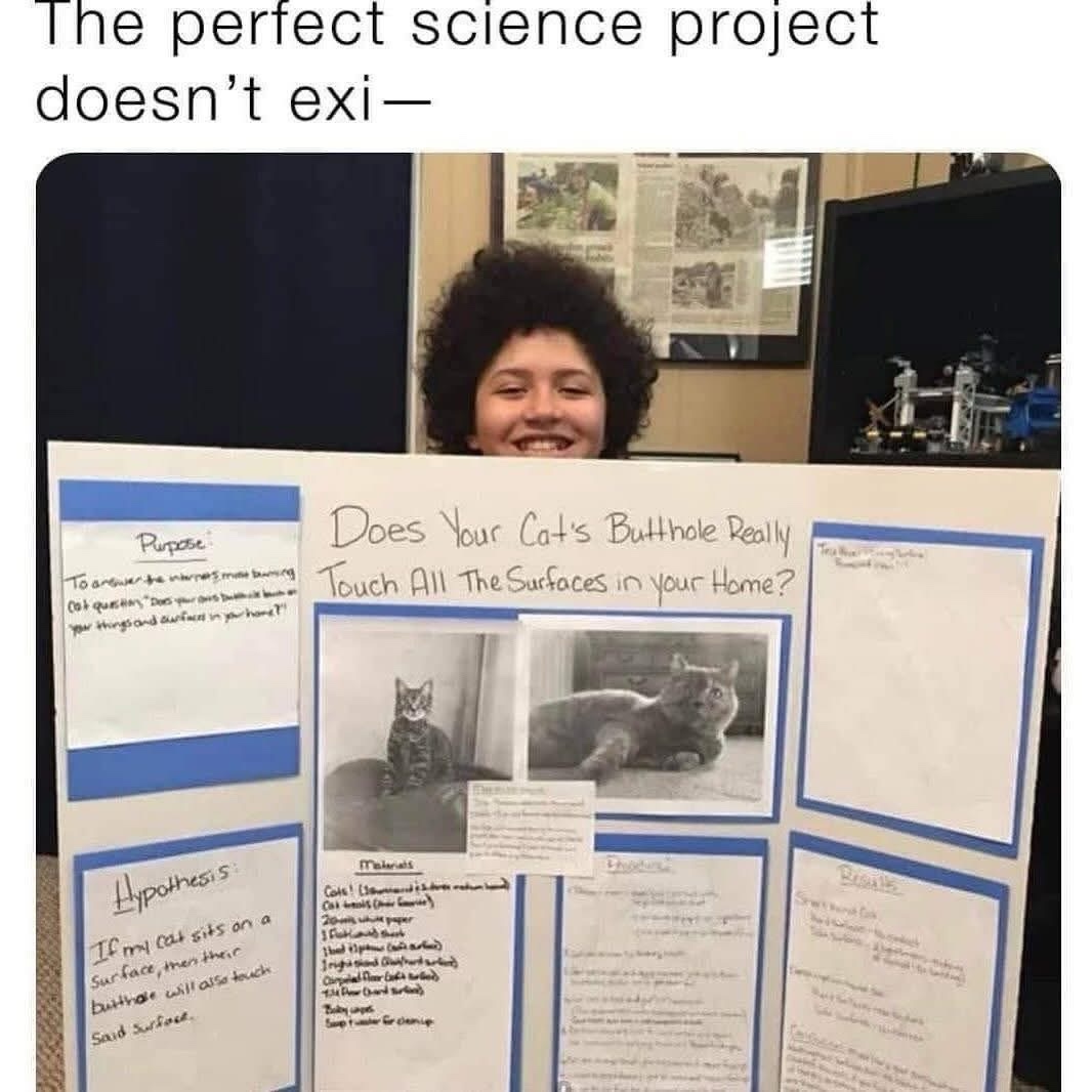 20 Hilarious Memes That Forgot What They Were Doing 13 Perfect science project