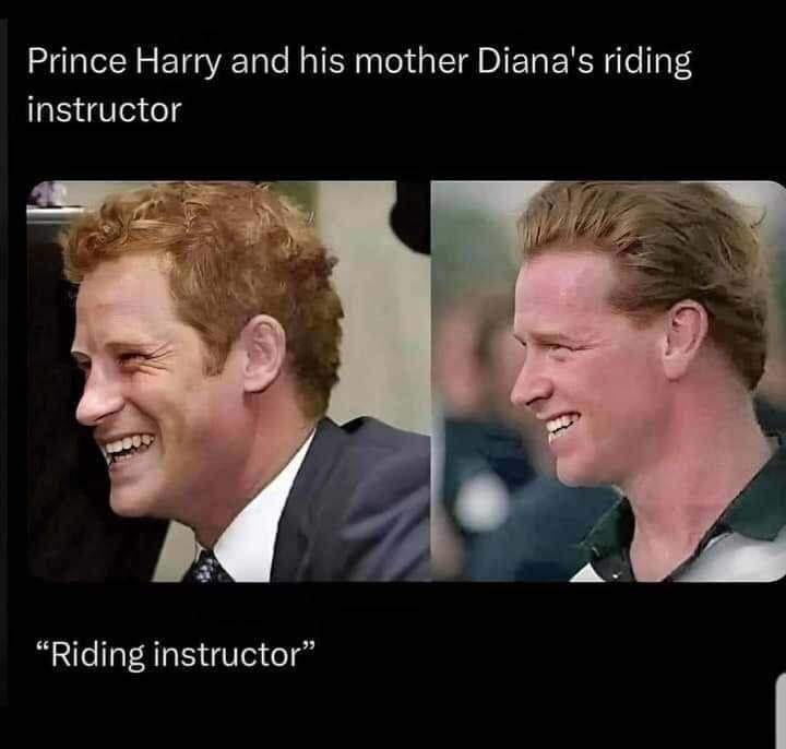 20 Funny British Memes That Should Be Served with Tea and Regret 12 Prince hary - Funny British Memes