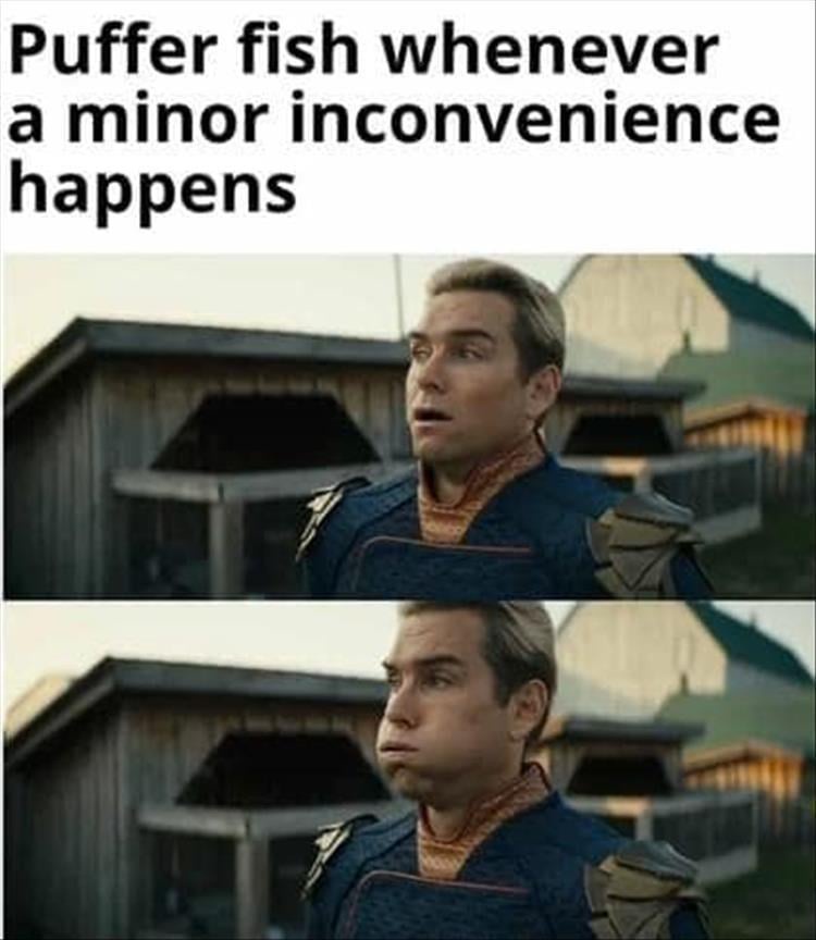 20 Memes That’ll Cause a Minor Earthquake in Your Brain 11 Puffer fish