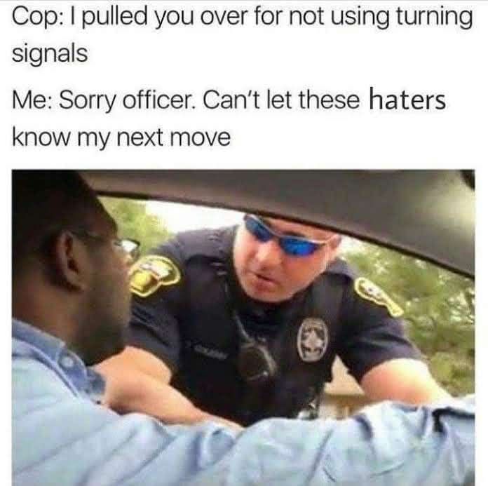 20 Random Memes That Are Just Vibes, No Plot 13 Pulled you over