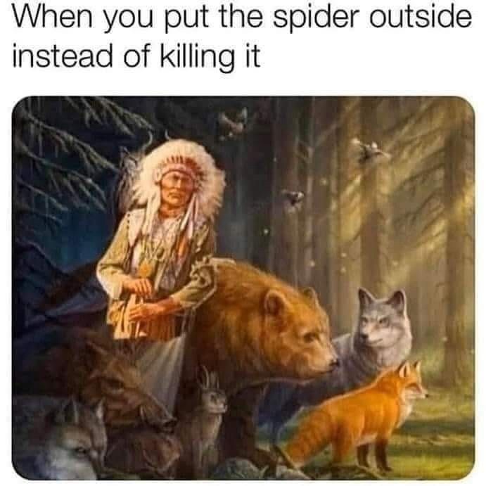24 Memes That Yelled “Plot Twist” and Ran Off into the Sunset 17 Put the spider outside
