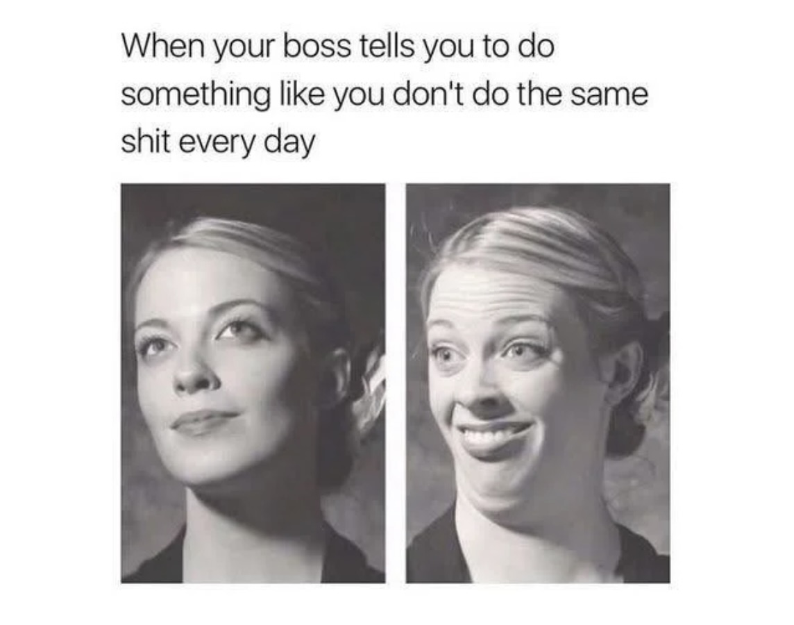 20 Random Memes That Are Just Vibes, No Plot 4 Random Memes That Are Just Vibes, No Plot - FG