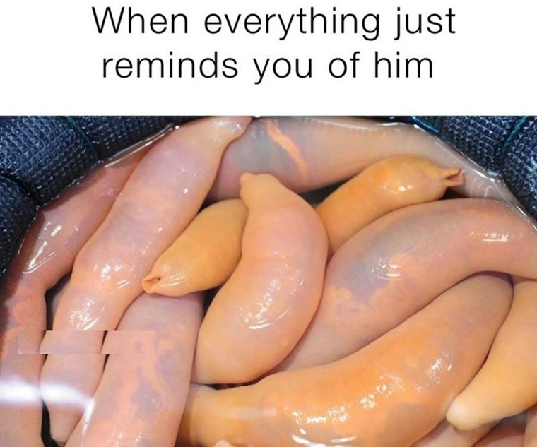 20 Memes That Are Definitely Up to Something Under the Covers 9 Reminds you of him