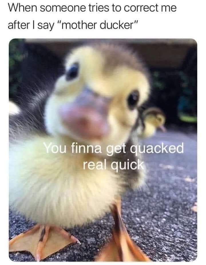 20 Memes That Are More Unhinged Than a Toddler on Sugar 13 Someone tries to correct me