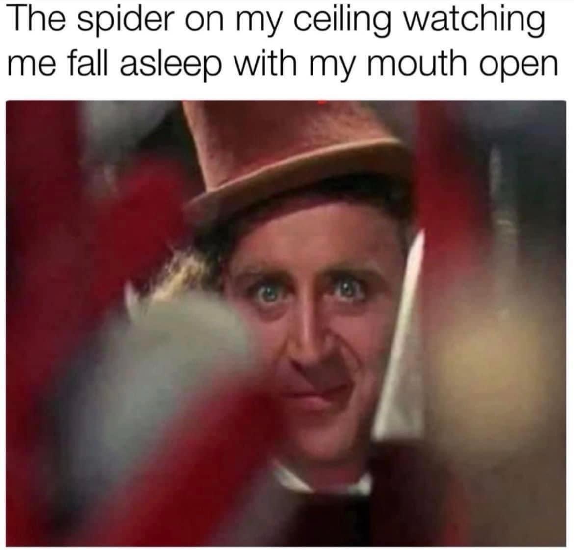21 Gloriously Useless Memes to Confuse and Amuse 19 Spider on my ceiling
