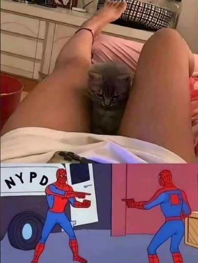 22 Memes That Audibly Said “Bruh” 12 Spiderman