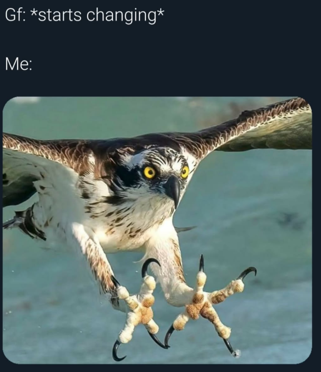 30 Steamy Memes That Are Basically Just Thirst Traps in Meme Form 19 Starts changing