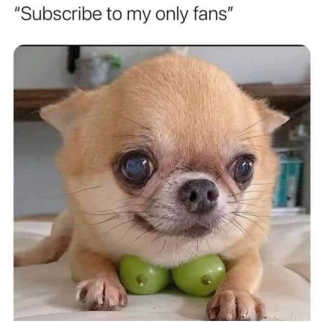 Subscribe now