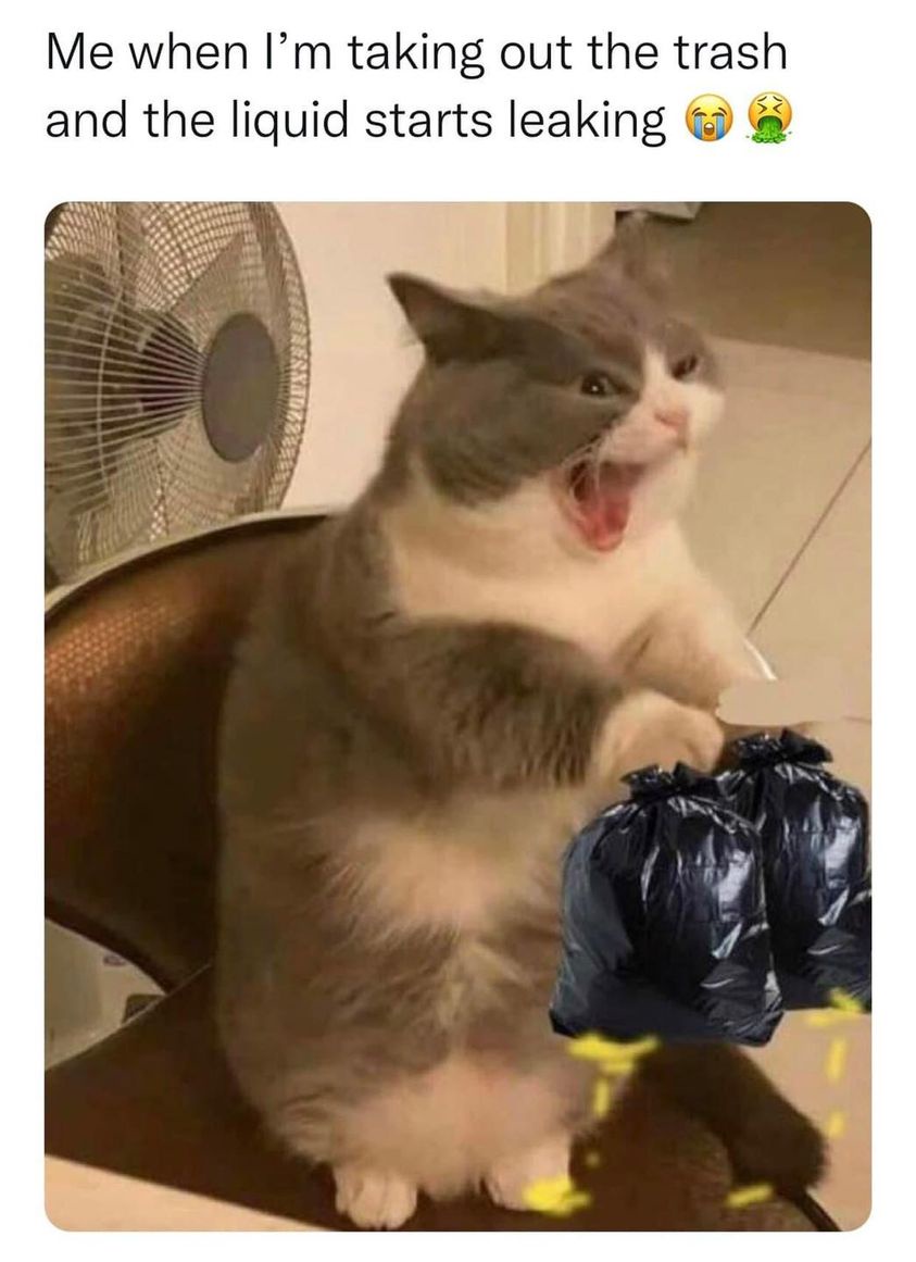 20 Memes That’ll Have You Laughing Like a Supervillain 20 Taking out he trash