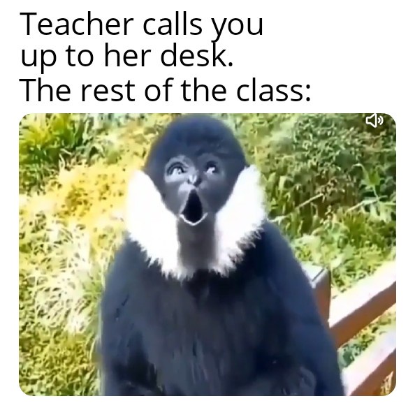 20 Memes That Are Like Therapy, But Free 16 Teachers call you