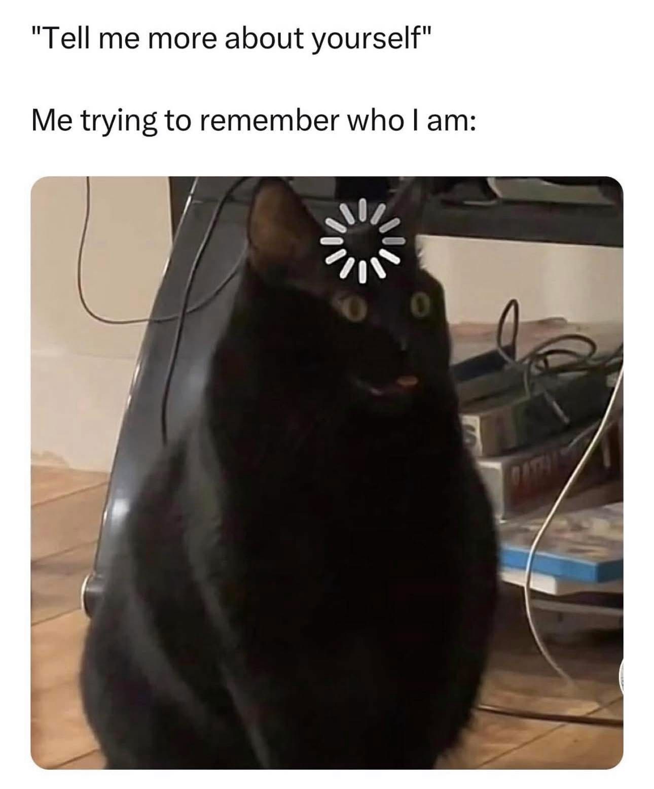 24 Memes That Yelled “Plot Twist” and Ran Off into the Sunset 21 Tell me more