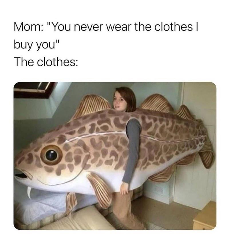 20 Memes So Funny, You’ll Need a Breathalyzer for Your Laughs 12 The clothes